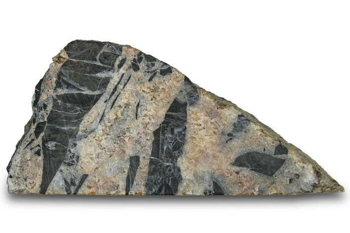 Midcontinent Rift Section - Ontario, Canada #300054